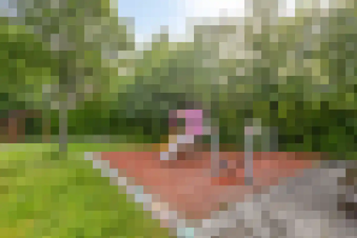 Leverkruid 28 Heemskerk thumbnail 26