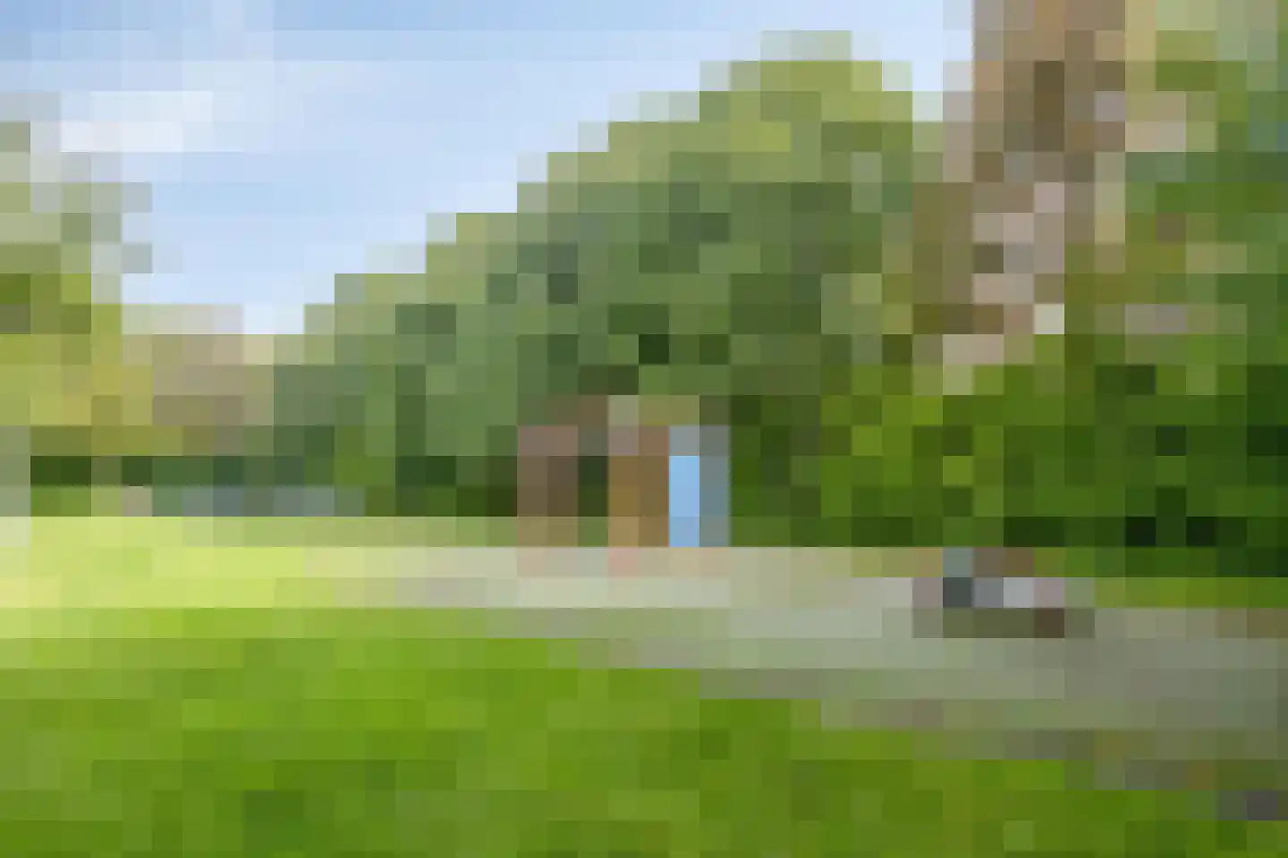Leverkruid 28 Heemskerk thumbnail 27