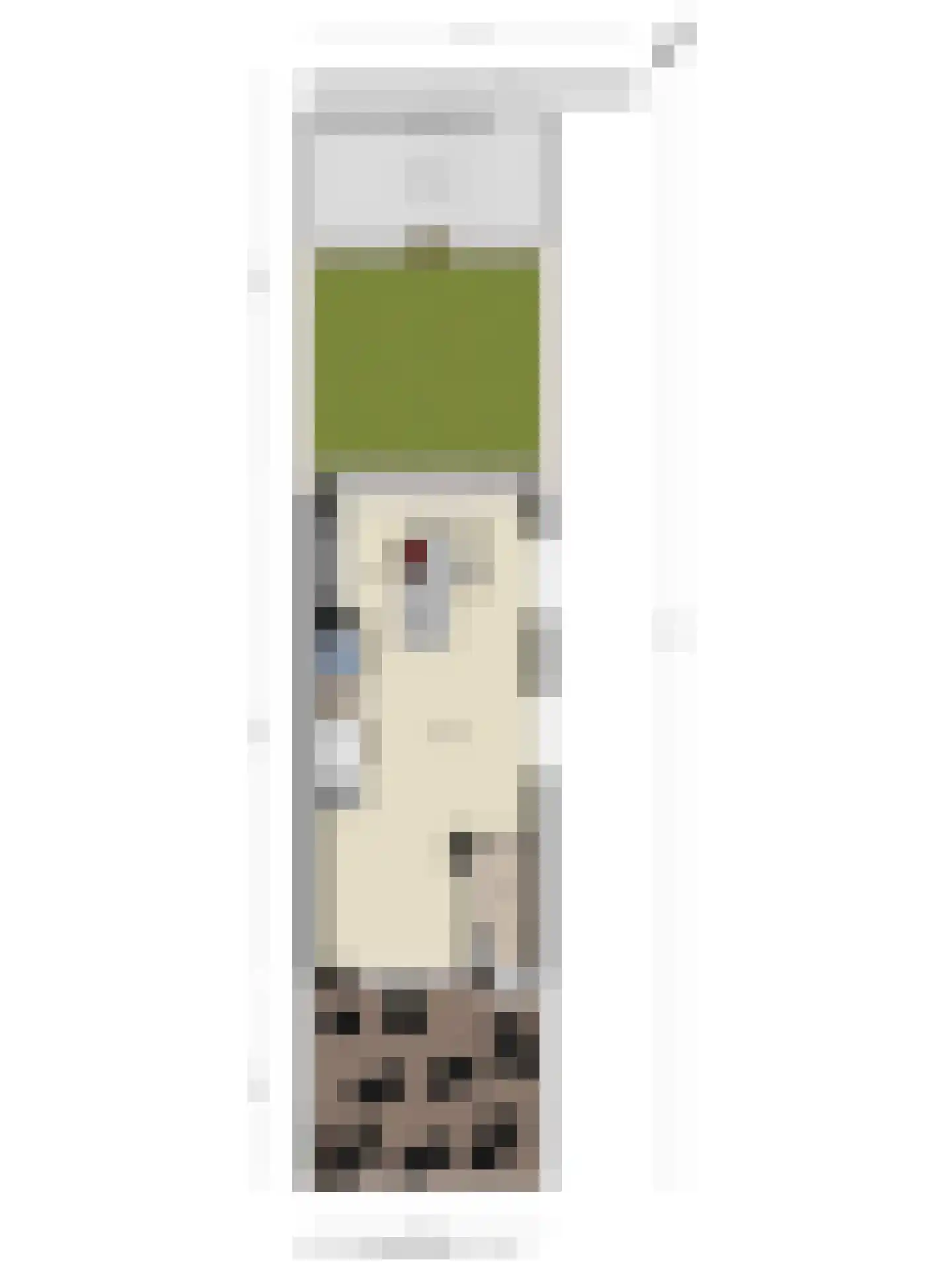 Leverkruid 28 Heemskerk thumbnail 30