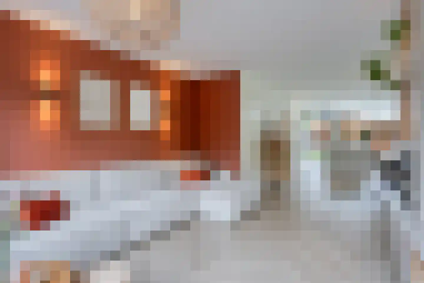 Leverkruid 28 Heemskerk thumbnail 5