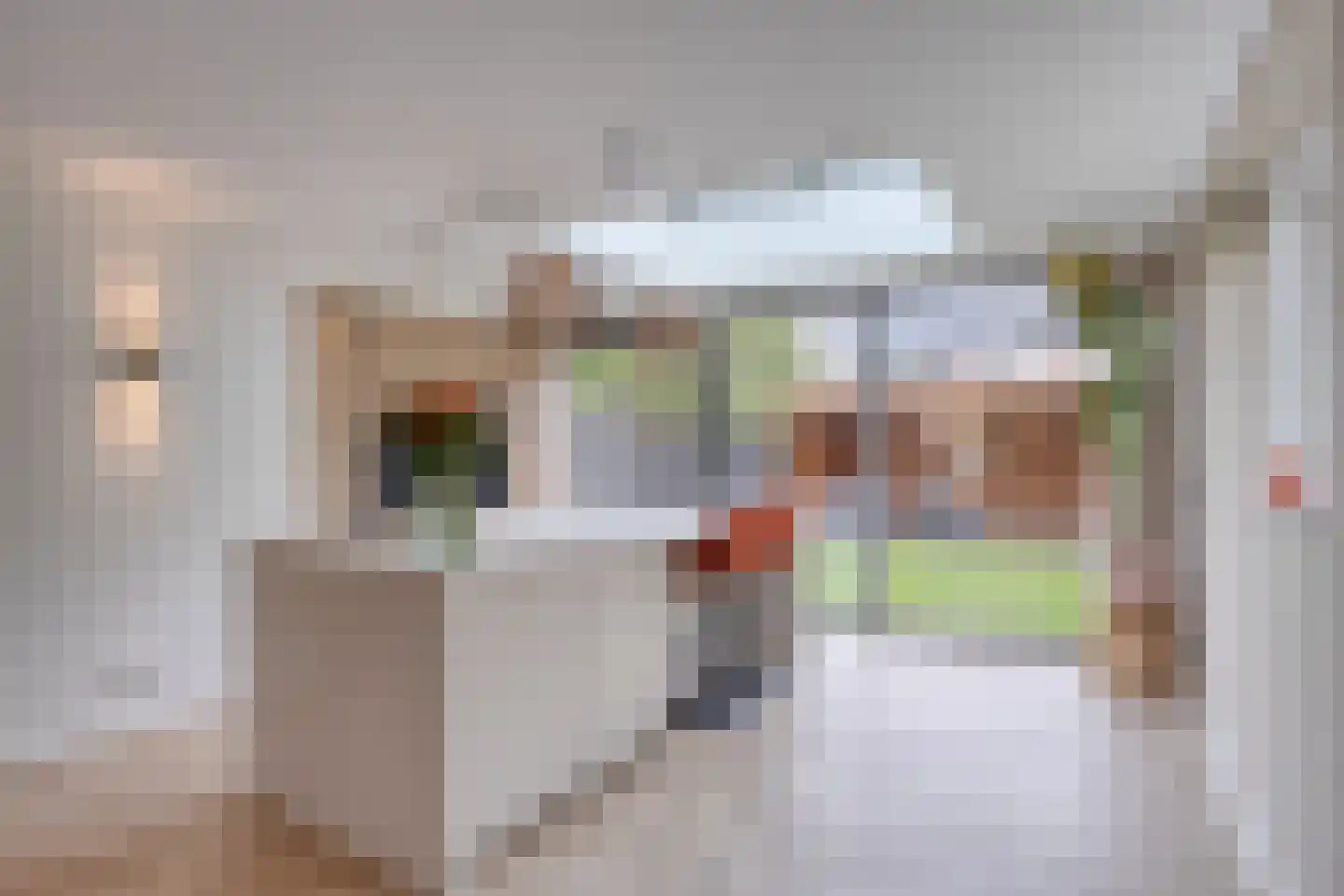 Leverkruid 28 Heemskerk thumbnail 6