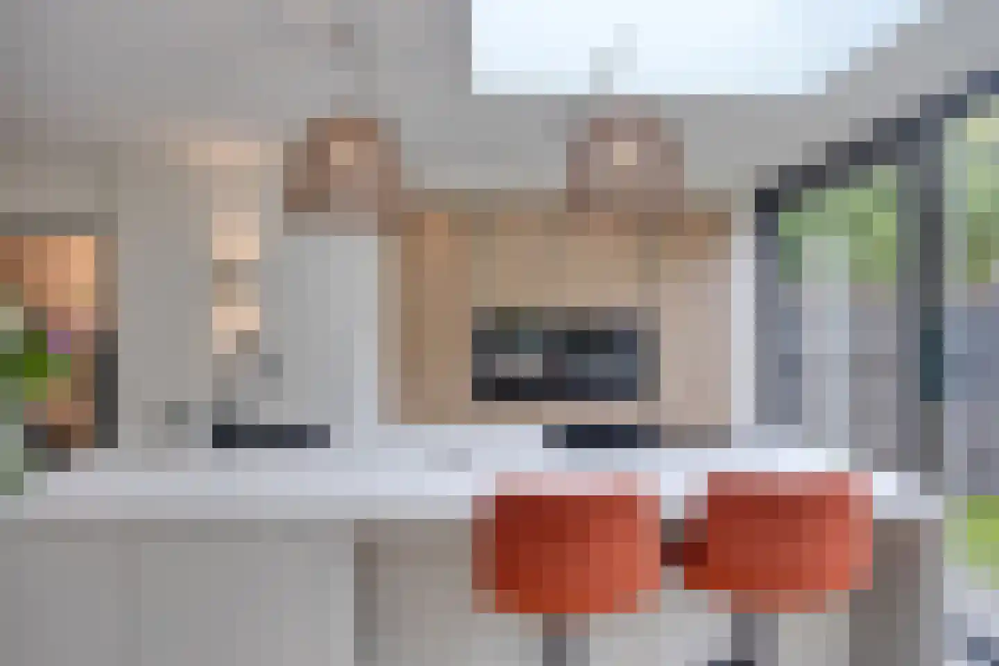 Leverkruid 28 Heemskerk thumbnail 8