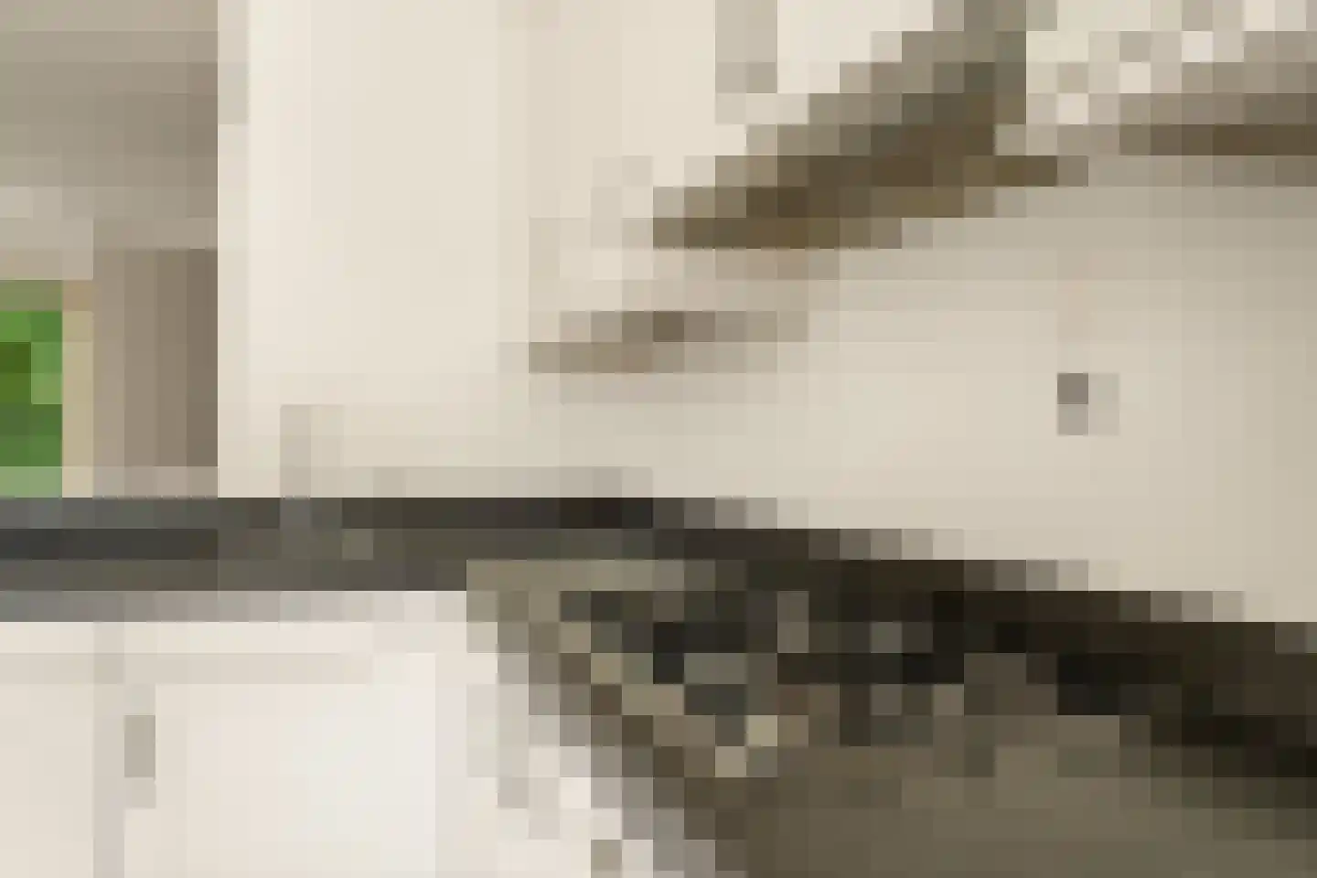 Leverkruid 30 Heemskerk thumbnail 10