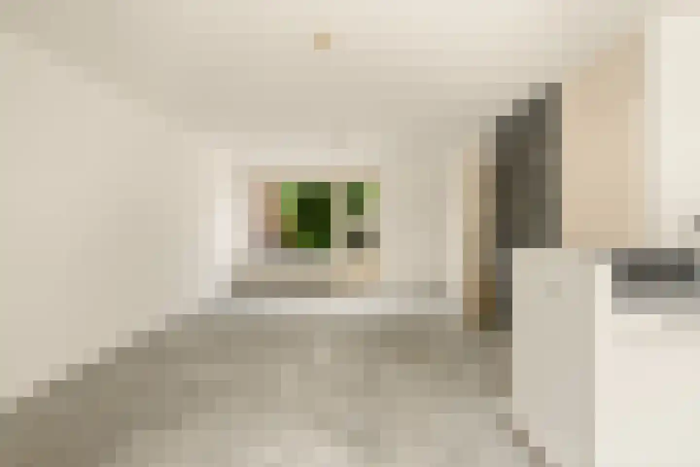 Leverkruid 30 Heemskerk thumbnail 11