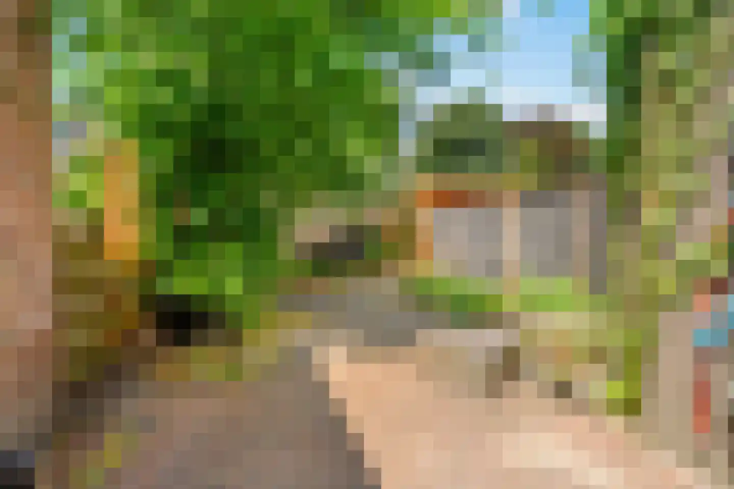 Leverkruid 30 Heemskerk thumbnail 14