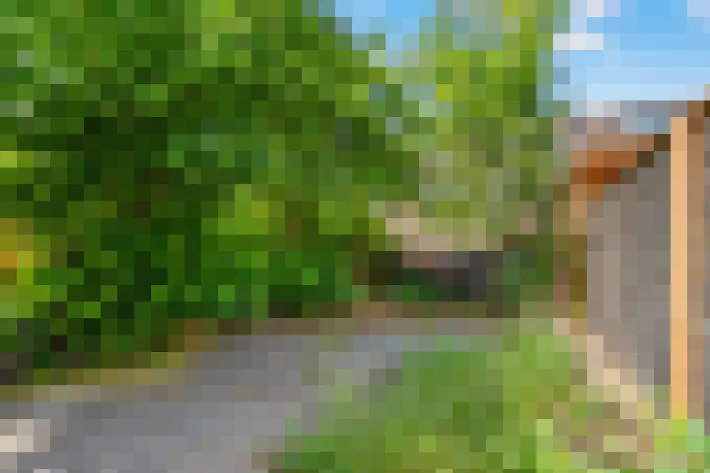 Leverkruid 30 Heemskerk thumbnail 16