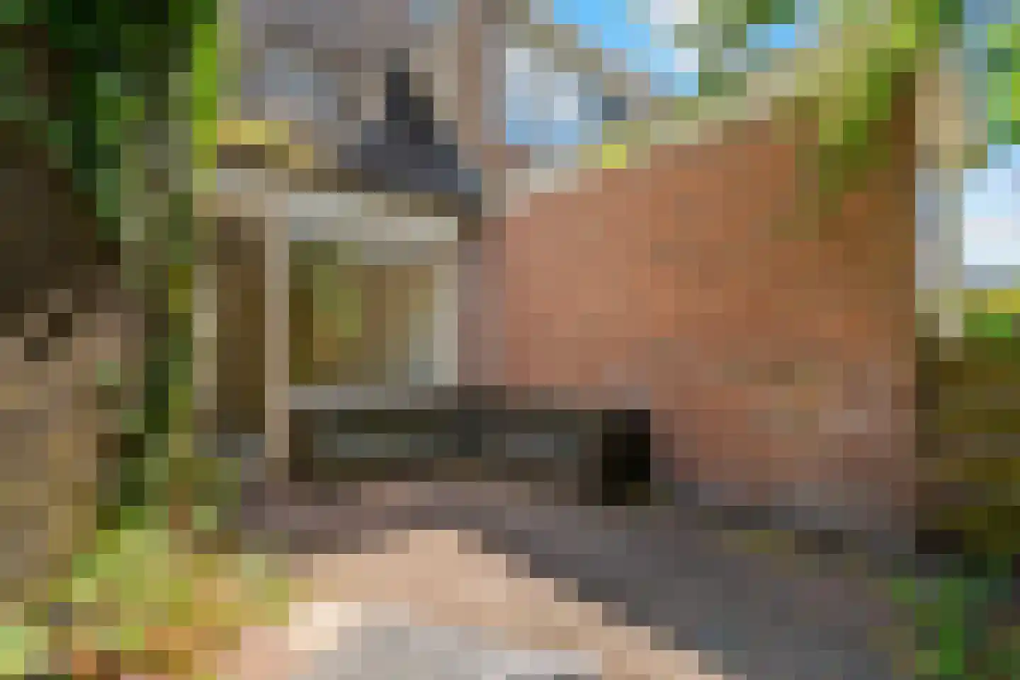 Leverkruid 30 Heemskerk thumbnail 17