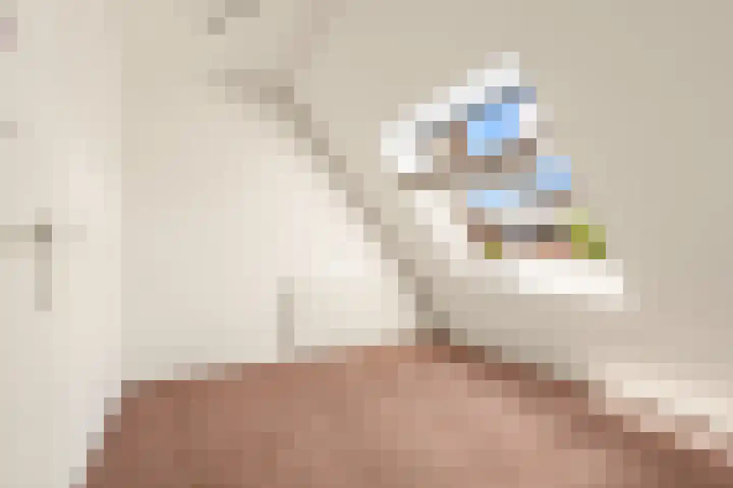 Leverkruid 30 Heemskerk thumbnail 22