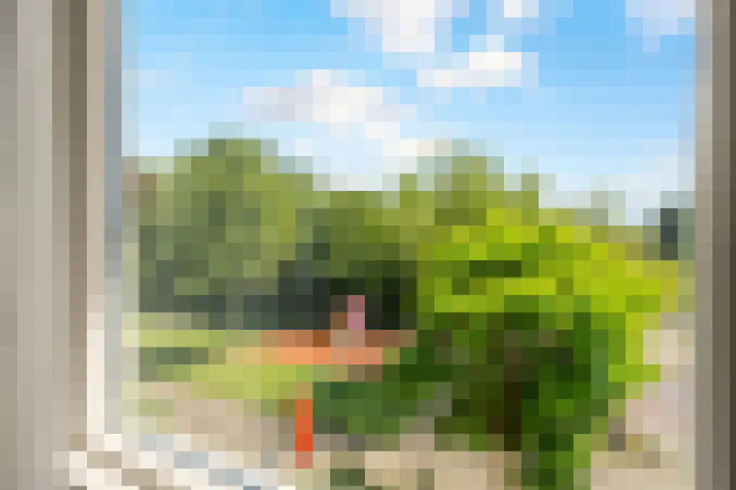 Leverkruid 30 Heemskerk thumbnail 28
