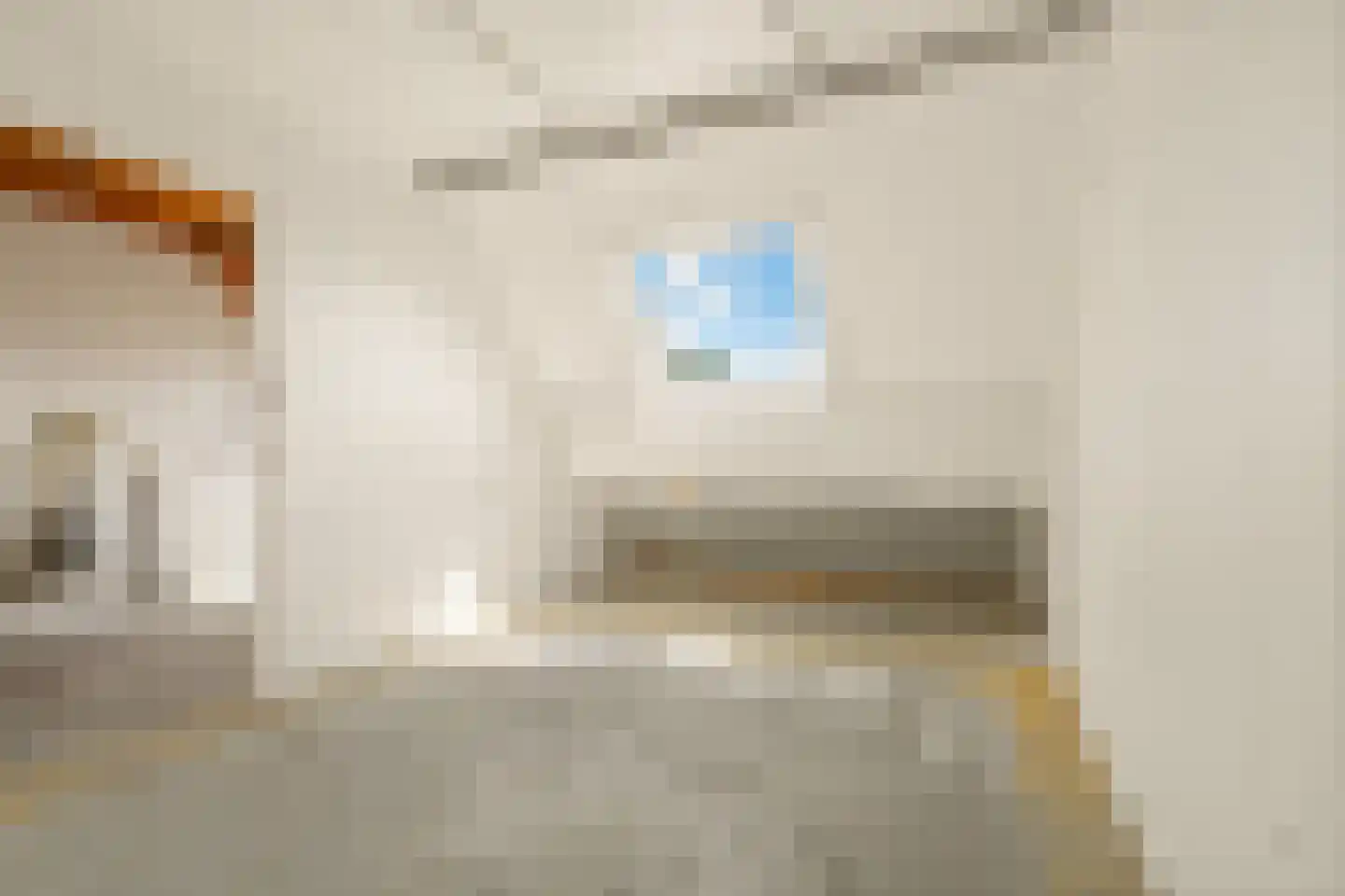 Leverkruid 30 Heemskerk thumbnail 17