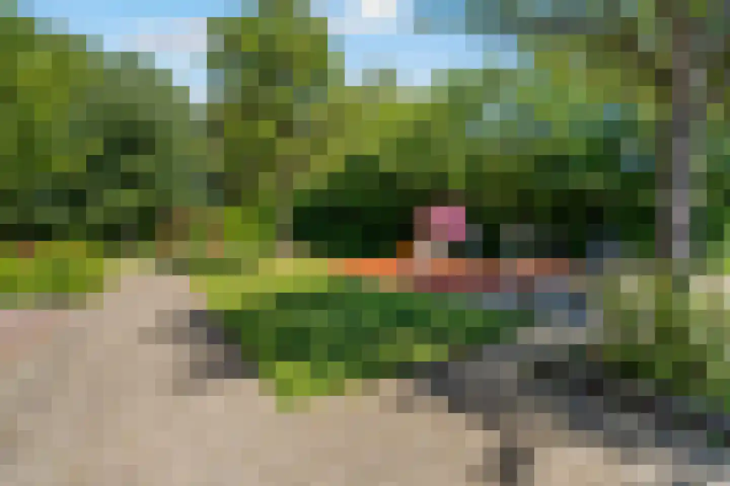 Leverkruid 30 Heemskerk thumbnail 19