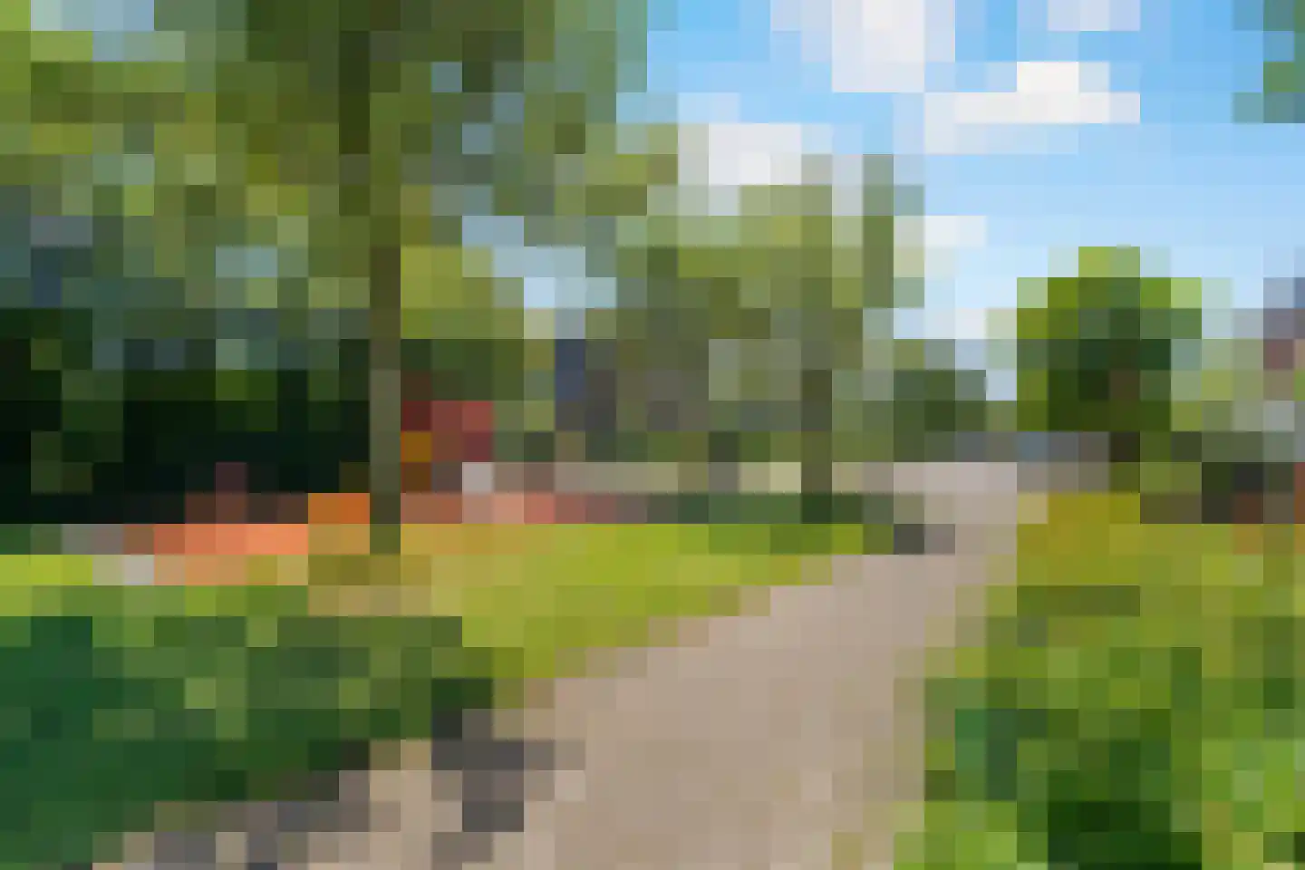 Leverkruid 30 Heemskerk thumbnail 20