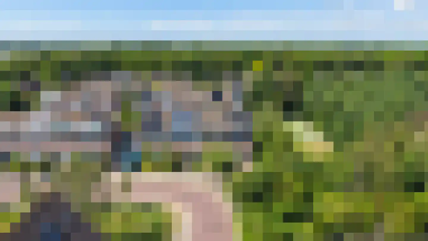 Leverkruid 30 Heemskerk thumbnail 21