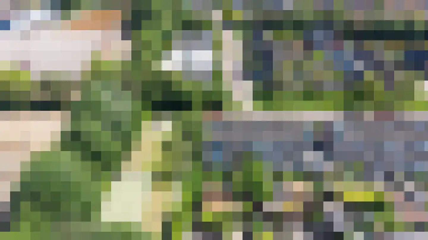 Leverkruid 30 Heemskerk thumbnail 22