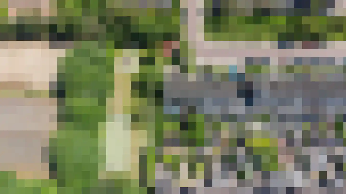 Leverkruid 30 Heemskerk thumbnail 23