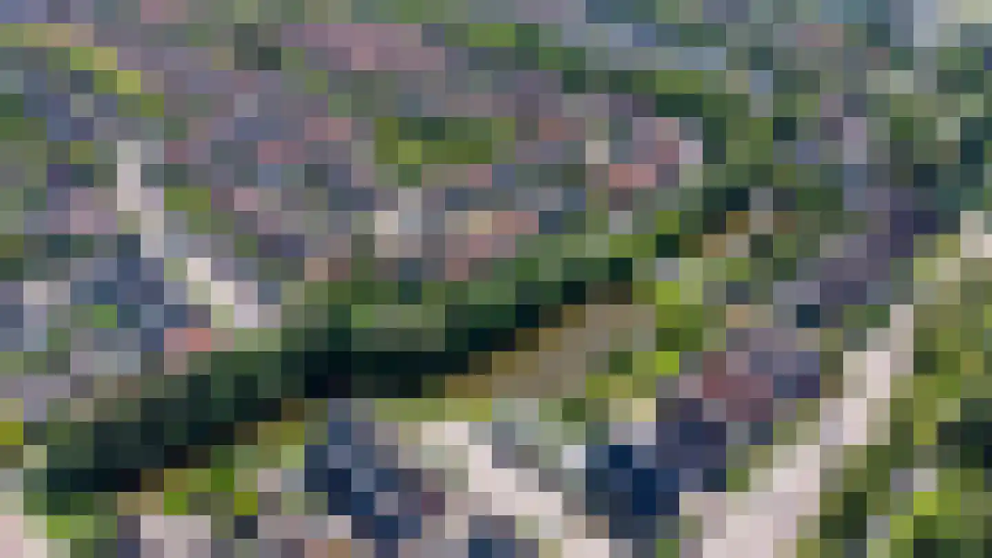 Leverkruid 30 Heemskerk thumbnail 24