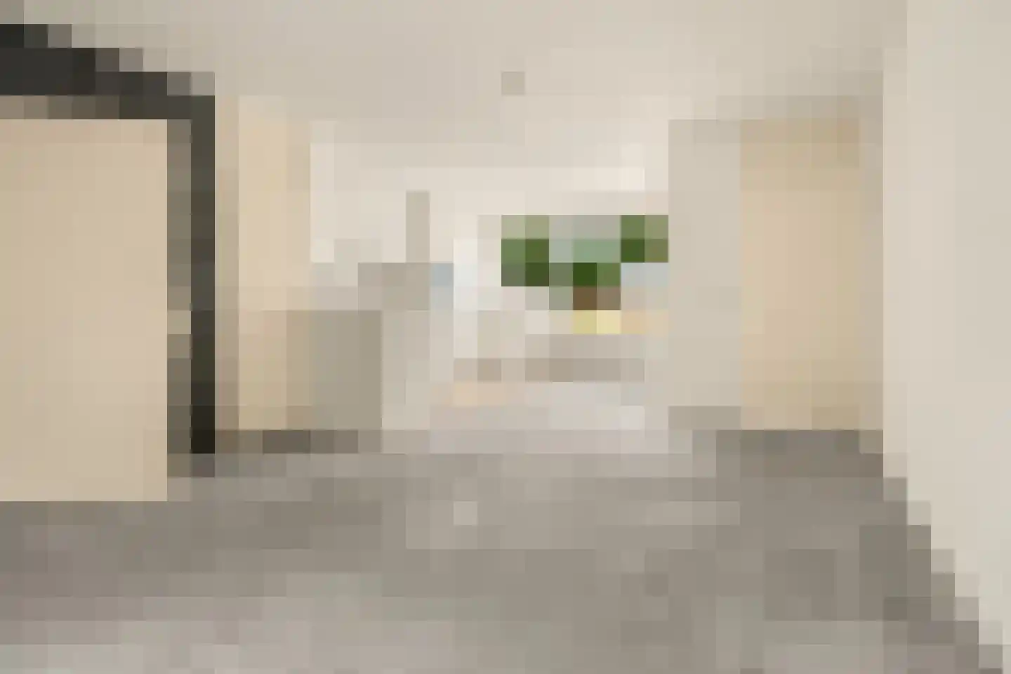 Leverkruid 30 Heemskerk thumbnail 5