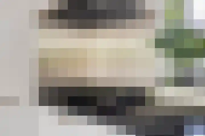 Leverkruid 36 Asten thumbnail 12
