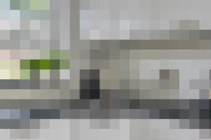 Leverkruid 36 Asten thumbnail 13