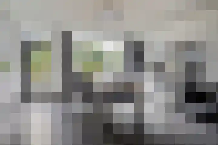 Leverkruid 36 Asten thumbnail 14