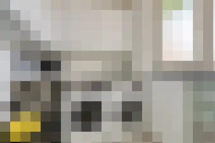 Leverkruid 36 Asten thumbnail 16