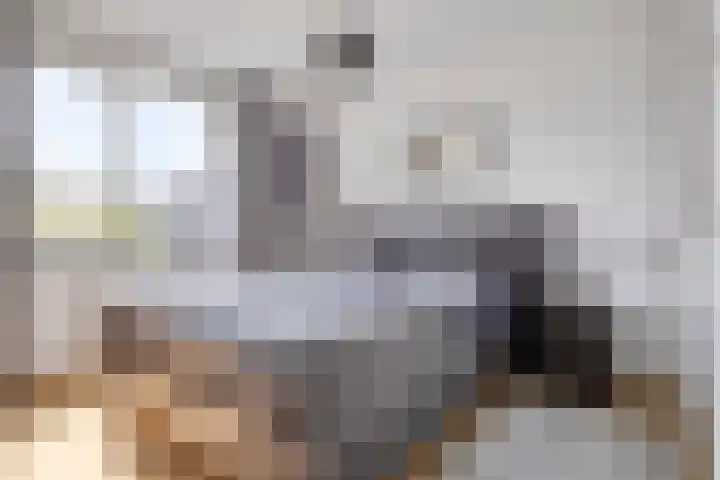 Leverkruid 36 Asten thumbnail 18