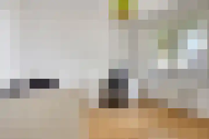Leverkruid 36 Asten thumbnail 20