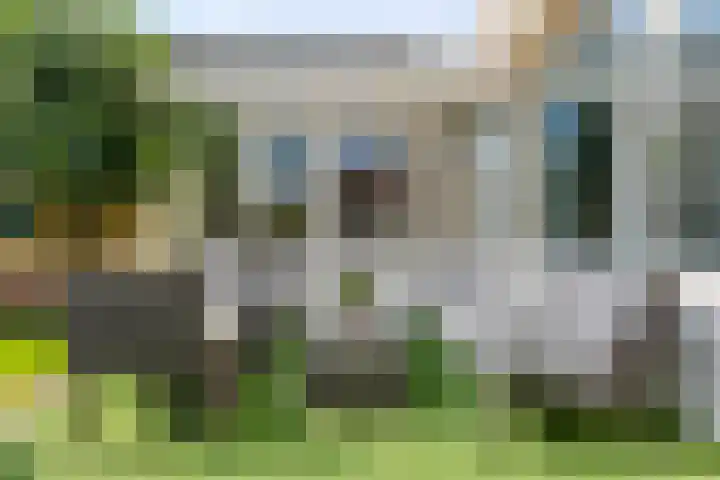 Leverkruid 36 Asten thumbnail 28