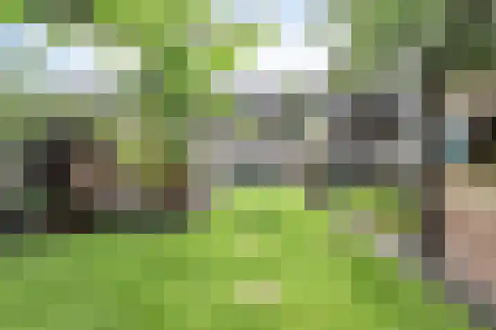 Leverkruid 36 Asten thumbnail 29