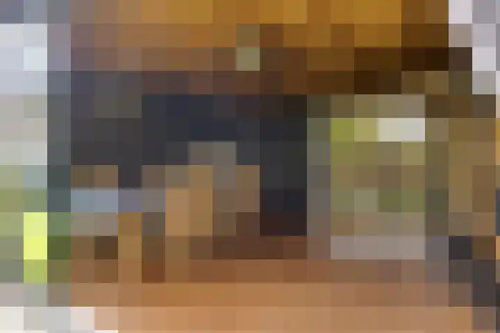 Leverkruid 36 Asten thumbnail 30