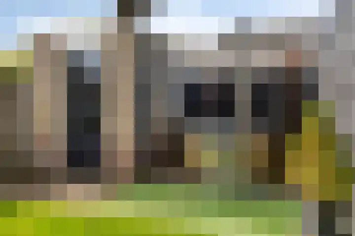 Leverkruid 36 Asten thumbnail 34