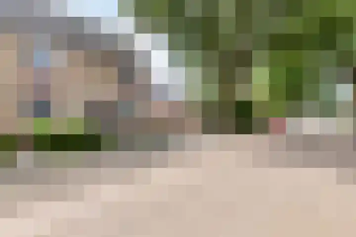 Leverkruid 36 Asten thumbnail 36
