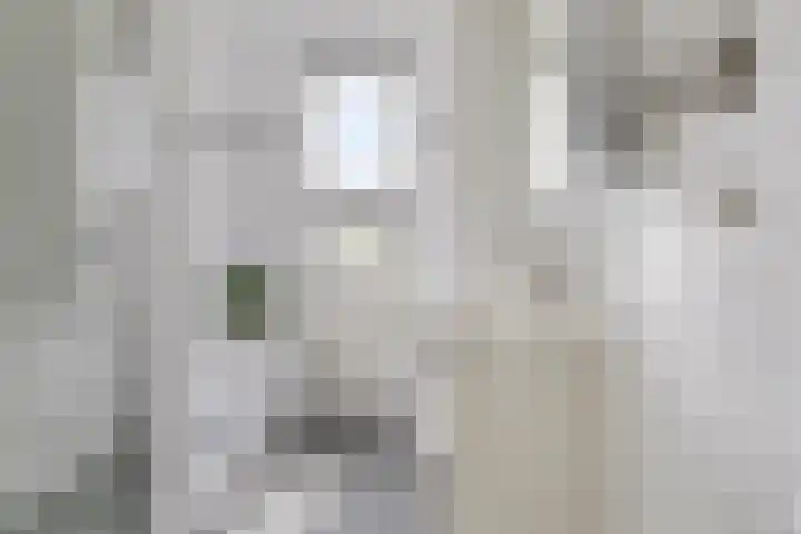 Leverkruid 36 Asten thumbnail 4