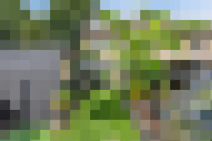 Leverkruid 36 Asten thumbnail 5