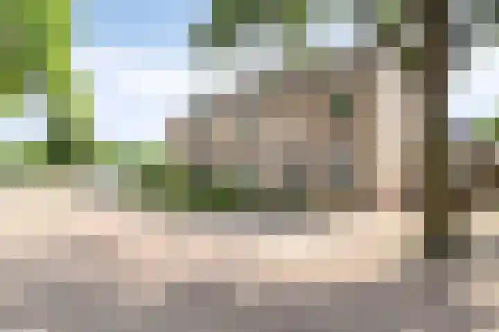 Leverkruid 36 Asten thumbnail 6
