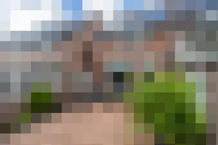 Leverkruid 7 in Naaldwijk