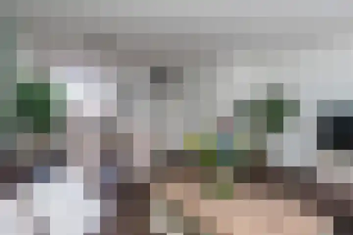 Leverkruid 7 Naaldwijk thumbnail 10