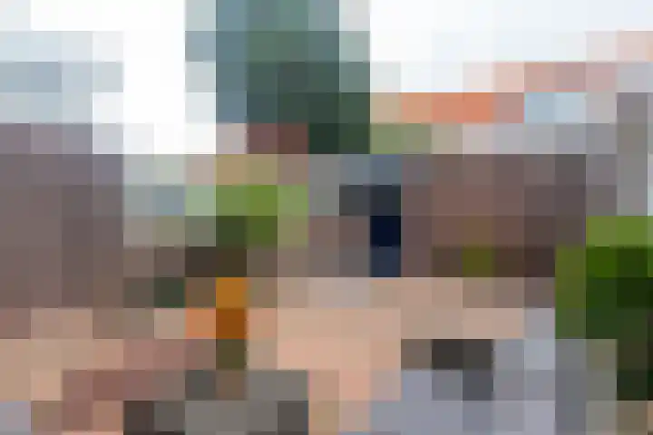Leverkruid 7 Naaldwijk thumbnail 14