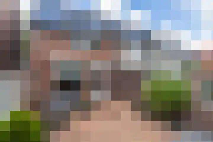 Leverkruid 7 Naaldwijk thumbnail 16