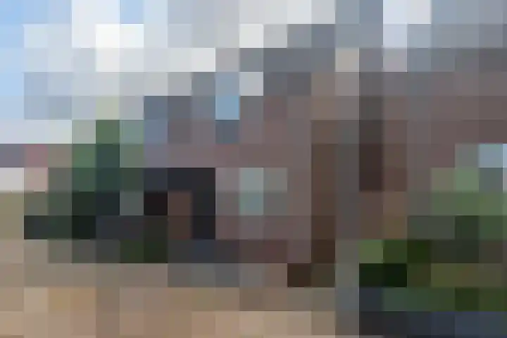Leverkruid 7 Naaldwijk thumbnail 31