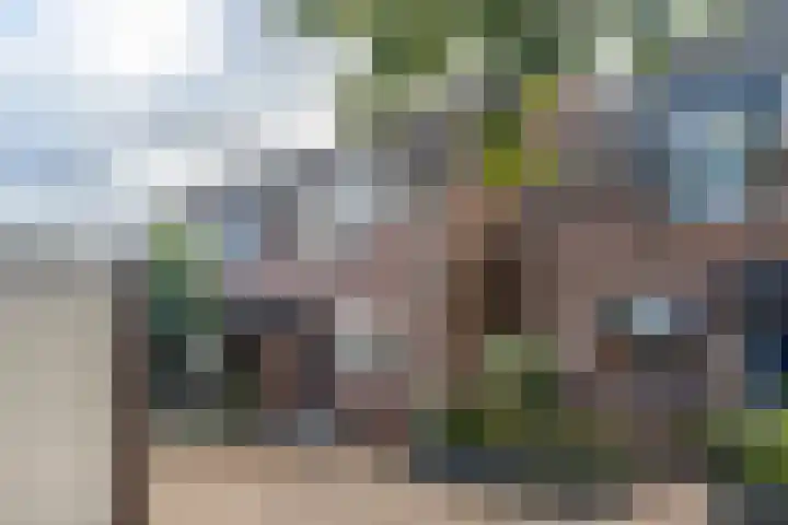 Leverkruid 7 Naaldwijk thumbnail 32