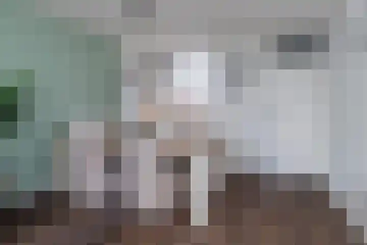 Leverkruid 7 Naaldwijk thumbnail 9