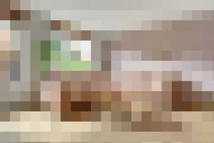 Leverkruid 9 Naaldwijk thumbnail 10