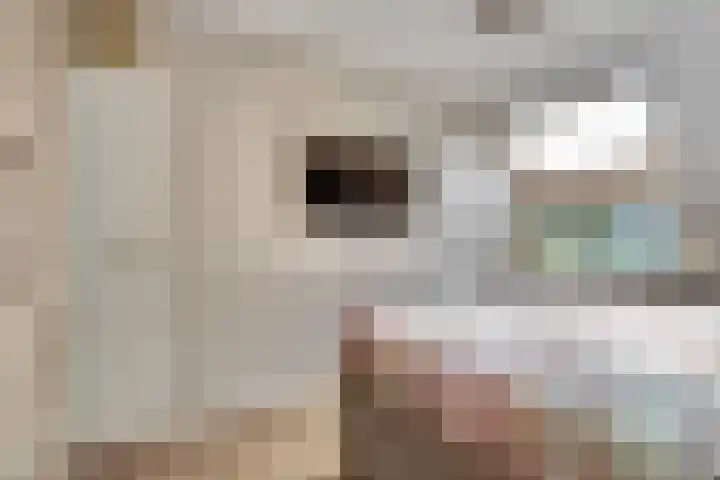 Leverkruid 9 Naaldwijk thumbnail 15