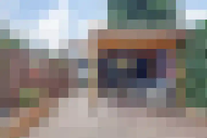 Leverkruid 9 Naaldwijk thumbnail 24