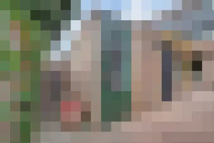 Leverkruid 9 Naaldwijk thumbnail 25