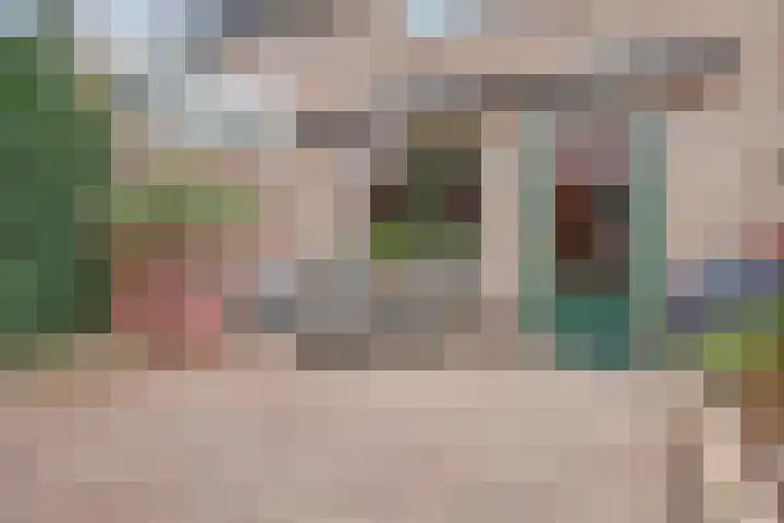 Leverkruid 9 Naaldwijk thumbnail 26