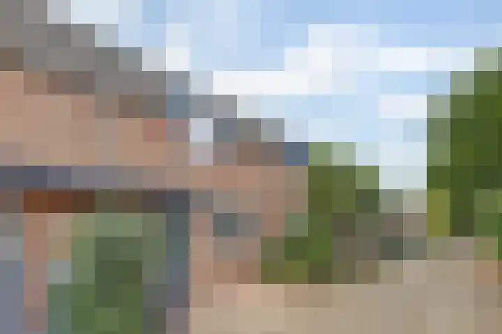 Leverkruid 9 Naaldwijk thumbnail 27
