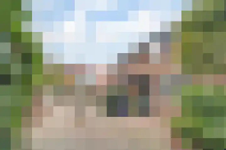 Leverkruid 9 Naaldwijk thumbnail 28