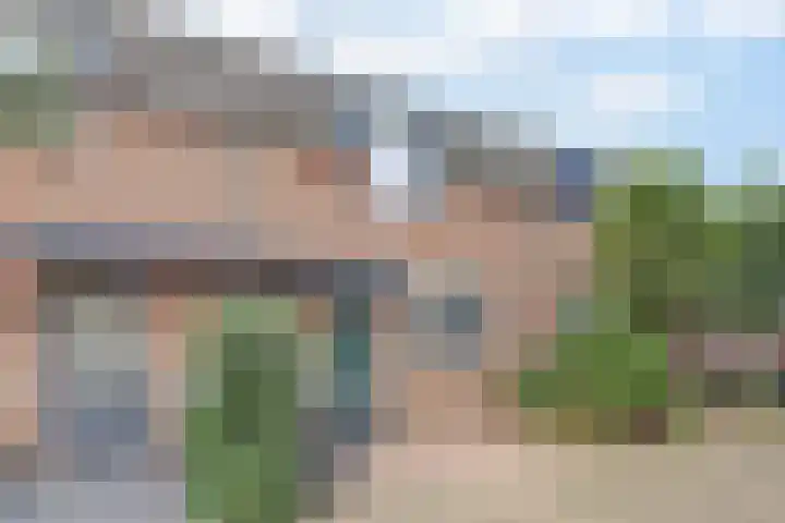 Leverkruid 9 Naaldwijk thumbnail 29